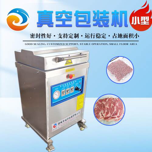 肉干杨梅食品真空包装机干湿两用自动真空机单室食品真空包装机