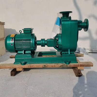 100ZX100-40-18.5卧式自吸泵18.5kw管道离心泵40扬程海水泵