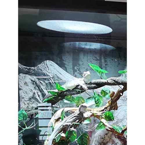 全光谱金卤灯UVB用变压器/HID整流器35W50W70W100W150W电子镇流器