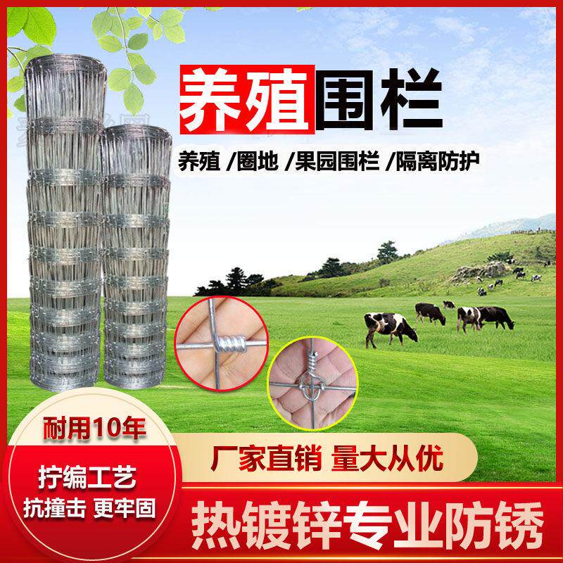 镀锌防锈养殖网铁丝网围栏防护网护栏网牛栏网养牛养羊果园围栏网