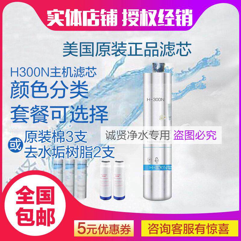 新款爱惠浦通用末端直饮机主滤芯净水器H300N主滤芯