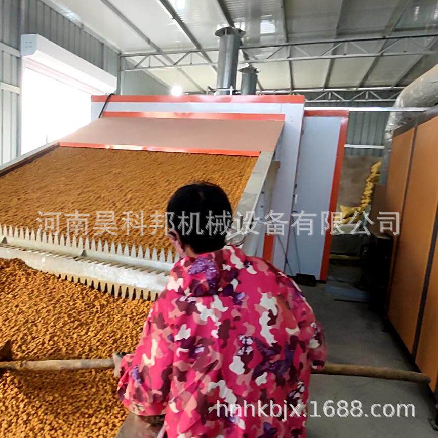 姜半夏药材多层网带烘干均匀 不锈钢远志元胡中药材烘干设备厂家