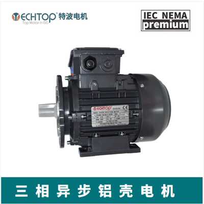 YE31002-43W230/460V电机驱动UL/CSA出口认证马达