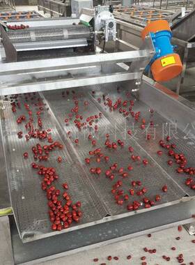 红枣鼓泡喷淋清洗机 大枣气泡毛辊清洗机 连续涡流洗枣机器