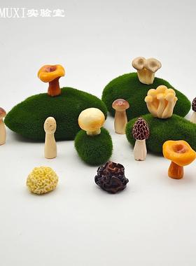 彷真写实蔬菜模型食玩小蘑菇香菇羊肚菌玩偶微景观摆件迷你装饰品