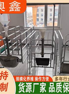 厂家直销浸锌定位栏母猪食槽猪用体双体产床限位栏上可用的食