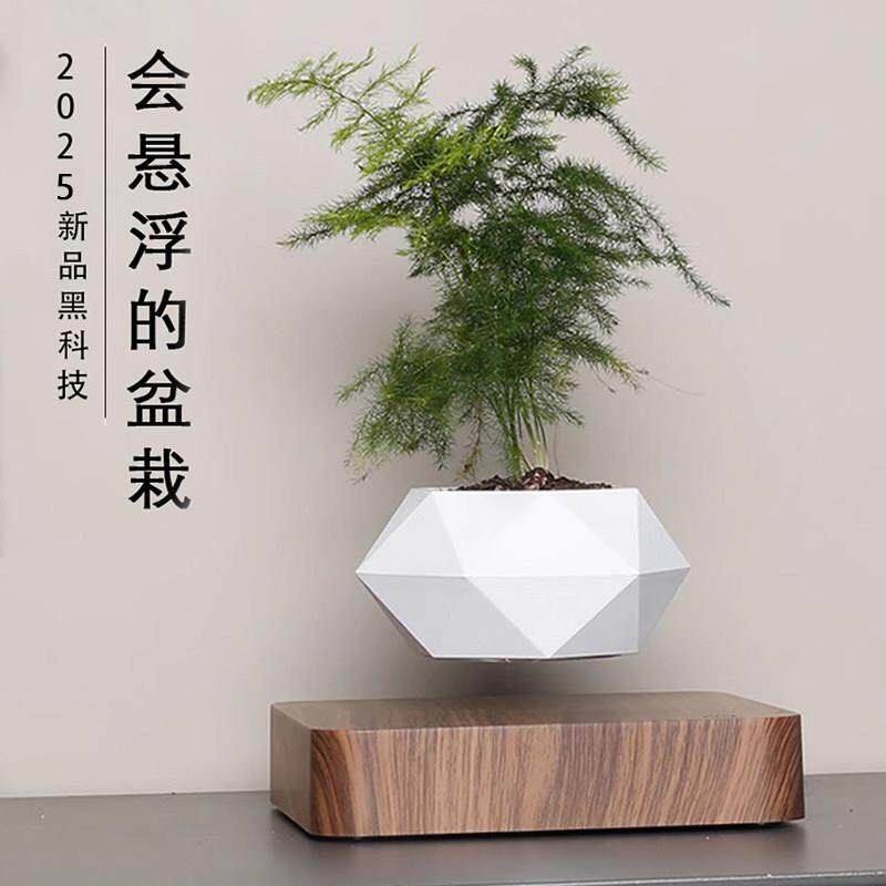 反重力磁浮花盆办公桌摆件情绪稳定植物家居轻奢客厅玄关装饰品