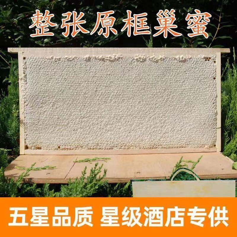 新疆西藏包邮整张蜂巢蜜6斤蜂巢蜜礼盒装整板蜂巢蜜原框巢蜜带框