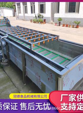 连续式果蔬气泡清洗机气 牛解羊肉气GXM泡冻清洗机水 西梅泡清洗
