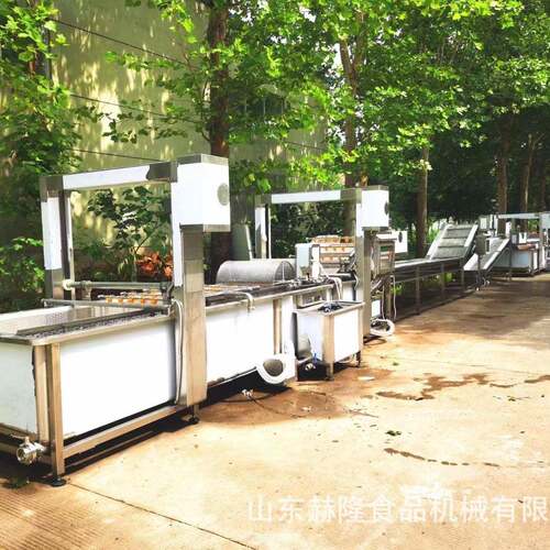 商用大型果蔬去皮去核机器苹果梨子去皮机清洗去皮去核一体机