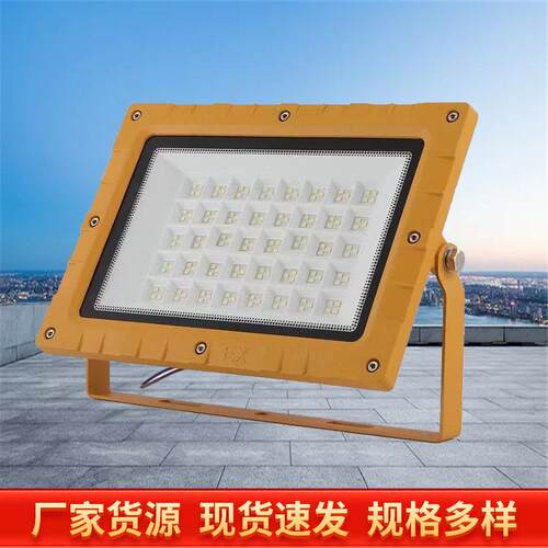 led防爆灯加油站油漆房100W150W200W仓库厂房化工厂防爆投泛光灯