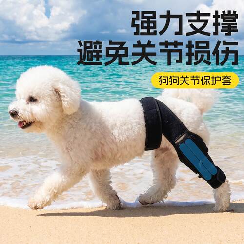 狗狗后腿关节支撑保护套护膝小型犬狗腿骨折护肘髌骨脱位固定支具