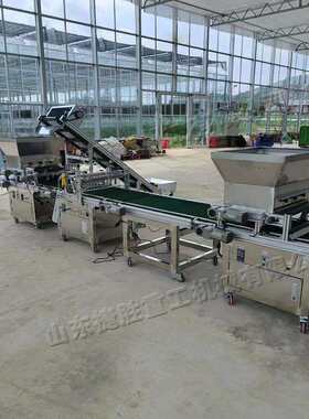 Automatic seeds sowing machine 花卉播种设备 蔬菜育苗撒播机