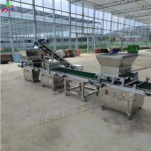 Automatic seeds sowing machine 花卉播种设备 蔬菜育苗撒播机