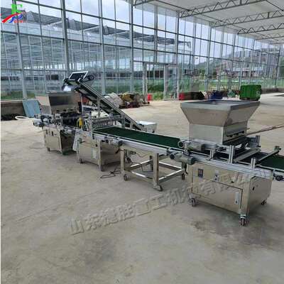 Automatic seeds sowing machine 花卉播种设备 蔬菜育苗撒播机