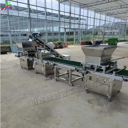 Automaticseedssowingmachine花卉播种设备蔬菜育苗撒播机