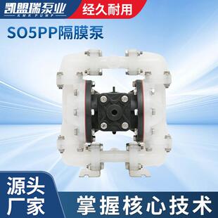 S05PP塑料隔膜泵供应S05B3P2PPD100隔膜泵往复泵塑料自动隔膜