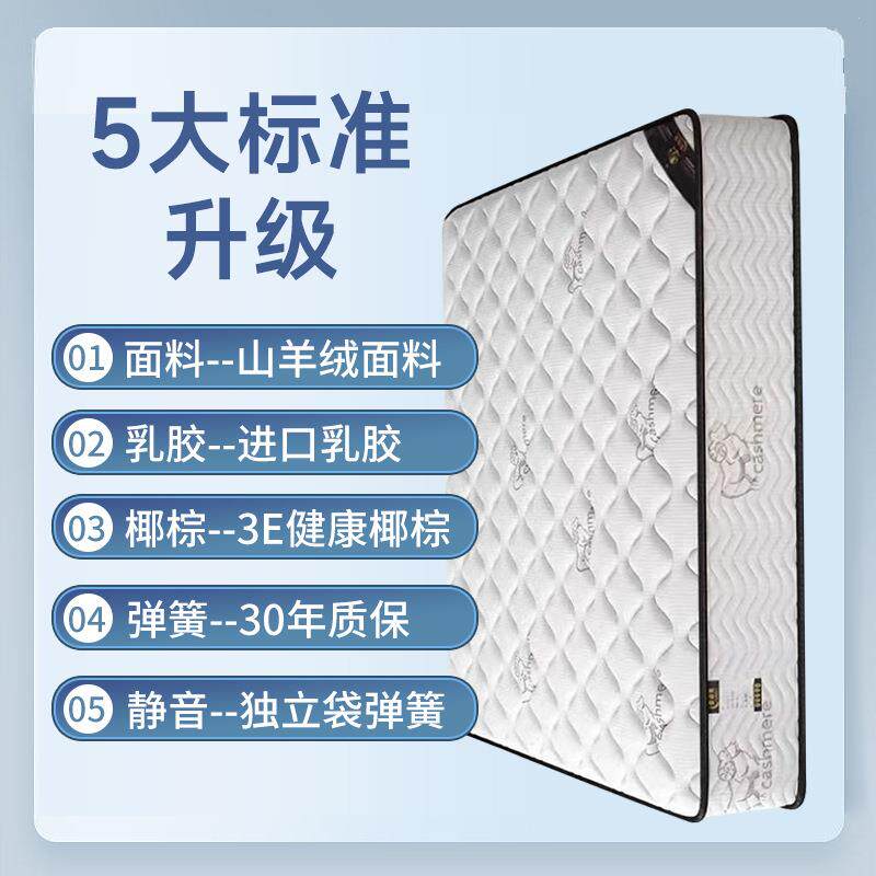 床垫软垫20cm851租单房专用宿舍学生人护脊防螨虫无甲家1用醛米2
