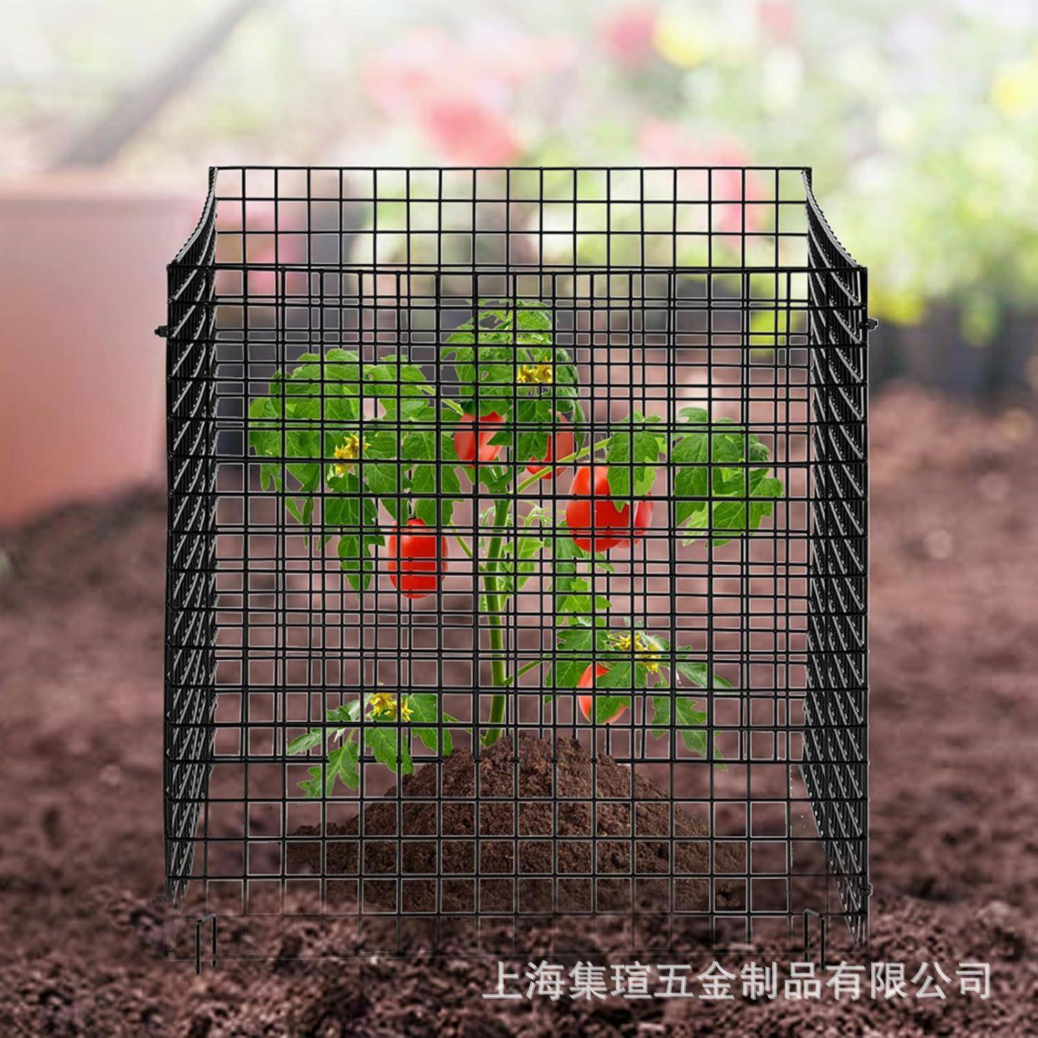 跨境植物保护器四方形网格保护网防止小型啮齿动物笼围栏