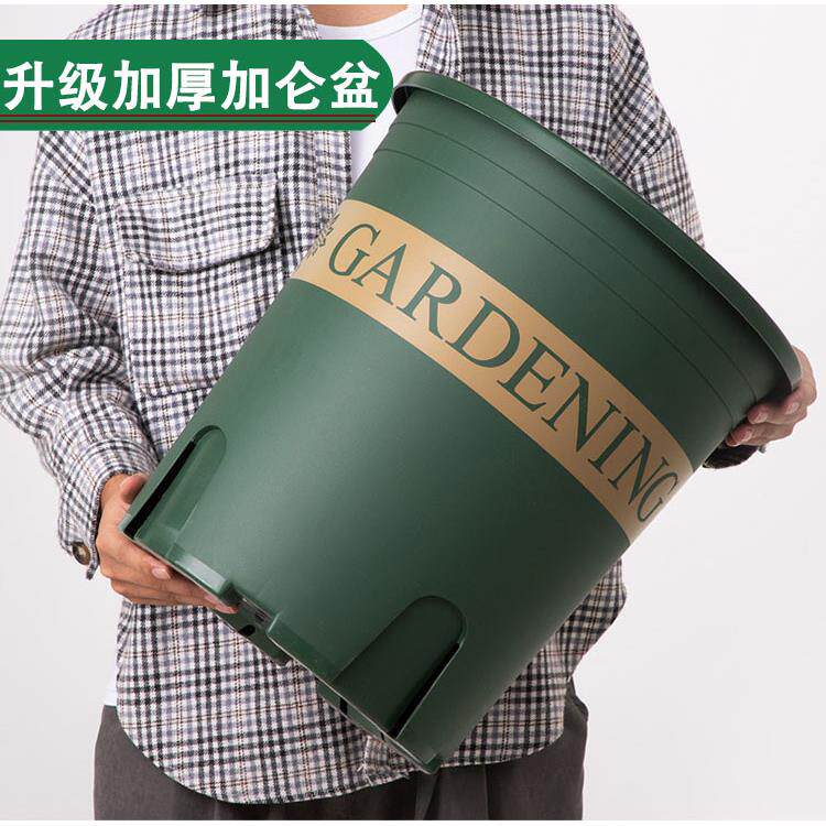 控根加仑盆控根盆栽多肉绿萝月季种植育苗塑料二代花盆厂家直销