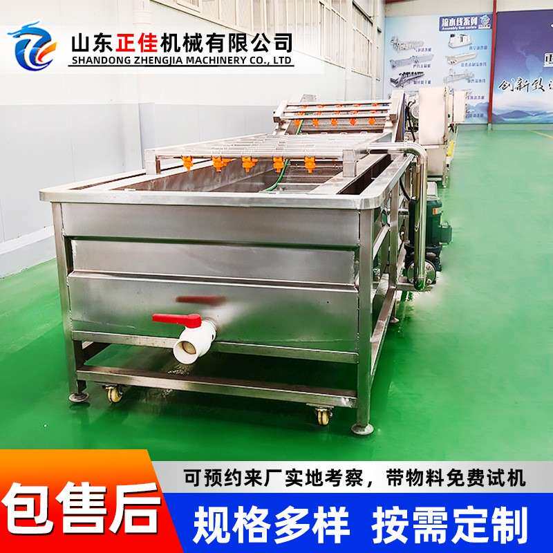 油菜气泡清洗机草莓蓝莓果蔬清洗机柑橘中草药高压气泡清洗机