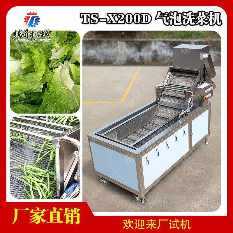 厂家销售荠菜菠菜清洗机气泡冲浪洗菜机叶类菜清洗加工设备