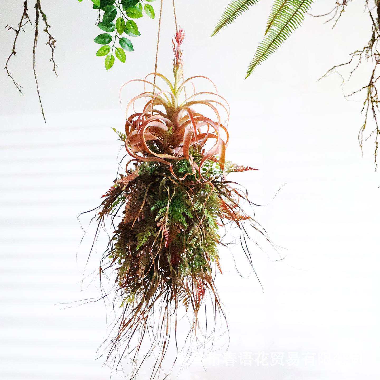 手工创意厥叶植物吊饰空中悬挂饰墙上挂件客厅橱窗植物角阳台装饰