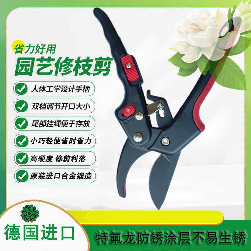 进口高级双档位修枝剪果树粗枝剪修花嫁接树枝园林剪多用剪刀