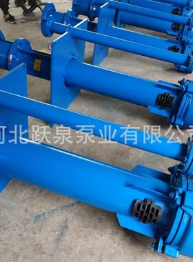 150SV-SP(R)液下渣浆泵立式吸沙抽砂泵高铬合金液下泵洗沙场抽沙