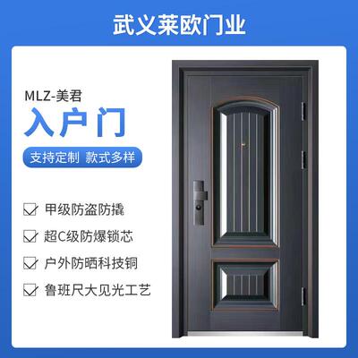 安全门进户门钢质门防火门防盗门隔音入户单门平开门