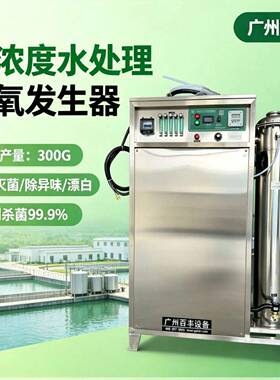 臭氧消毒机自来水饮用水杀菌氧气源臭氧发生器污水脱色处理设备