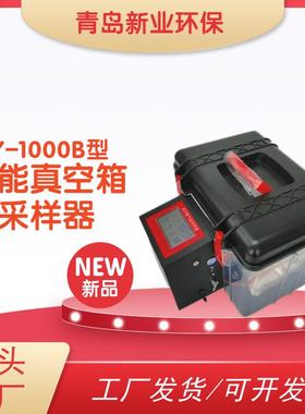 气袋法XY-1000B智能真空箱气袋法采样器采集固定污染源废气