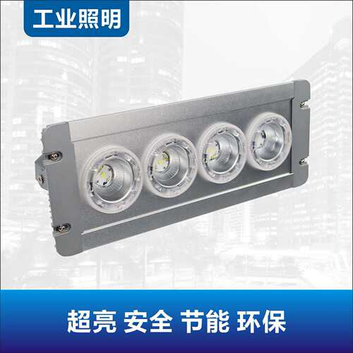NFE9121固态应急顶灯NFC912112W配电房电厂电缆沟夹层低顶灯