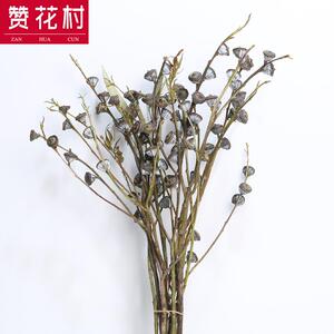 新款直销冷色系干花花束 尤加利果老果 云南自然风干装饰花材