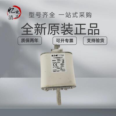 170M8637 170M8621 170M8629 170M8641 170M8622 巴斯曼熔断器