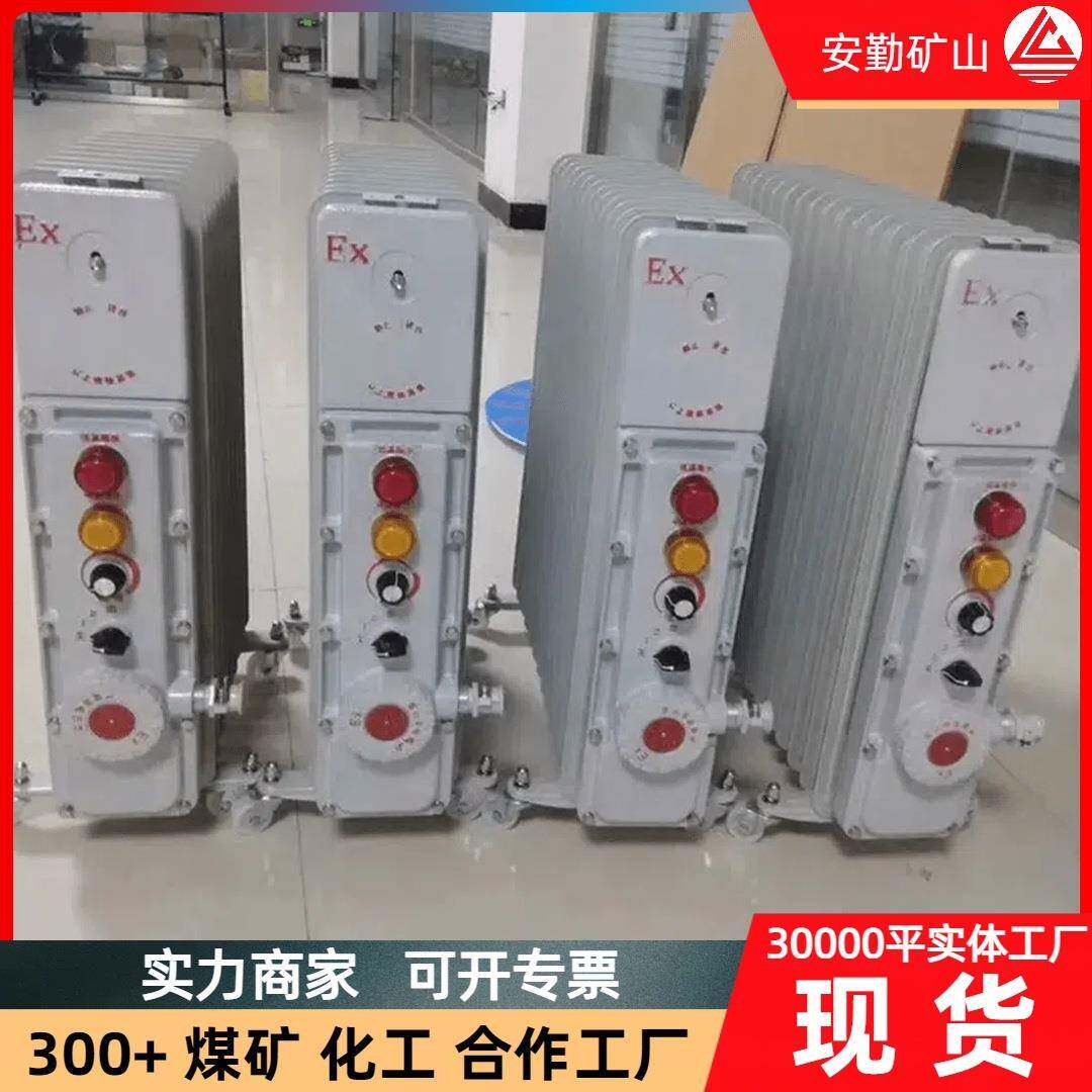 井下取暖设备防爆电暖器9片11片2000W防爆电热油汀BDR-2000/11
