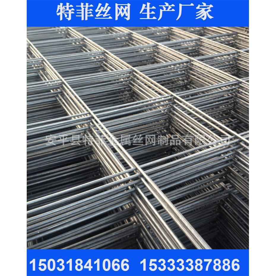 专业生产冷拔丝建筑焊接钢筋网 喷塑电焊苗床钢筋网片 长期销售