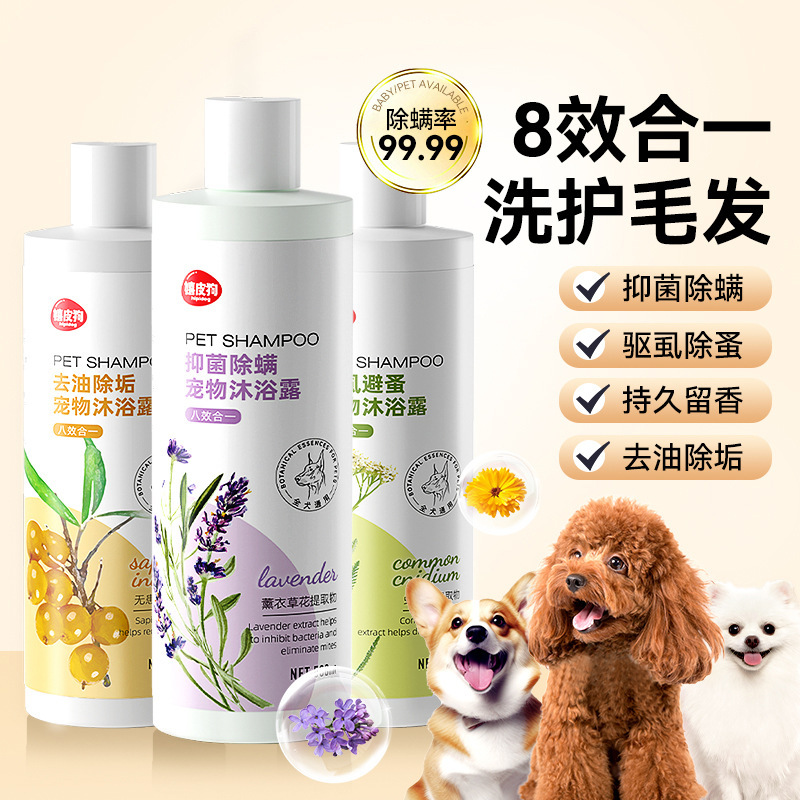 沐浴露合一洗澡洗澡狗香波浴液