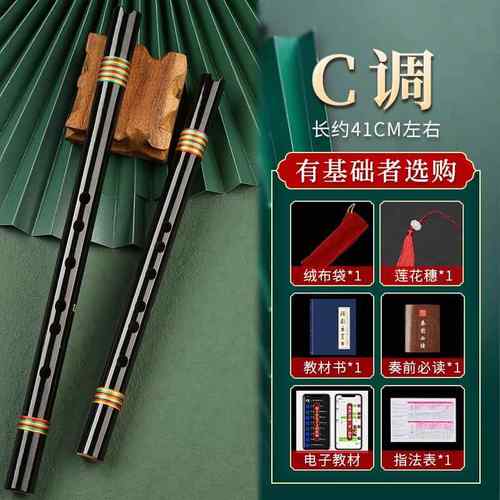 正品零基础入门箫便携苦竹高短萧迷你小笛子古风F调C初学洞萧乐级