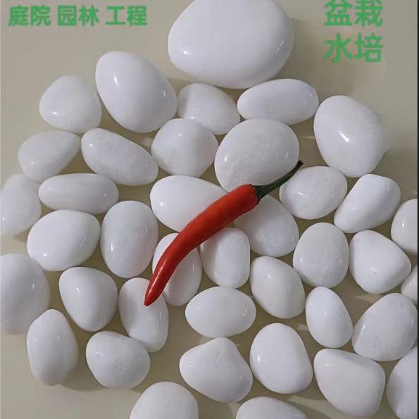 水培石子白色鹅卵石鱼缸天然斤庭院50园林工程原石造景盆栽雨花石