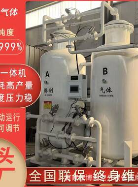 大型工业制氮机psa激光切割小型工业氮气发生器工业氮气机