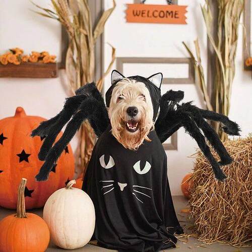 Black Spider Legs for Dog Funny Apparel Pet Outfit Costume