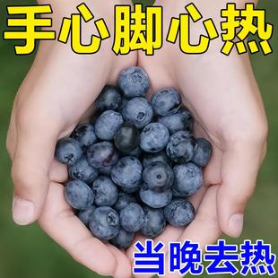 手心手脚心发热脚底发烫清热去火下火贴阴虚内热调理湿热儿童男女