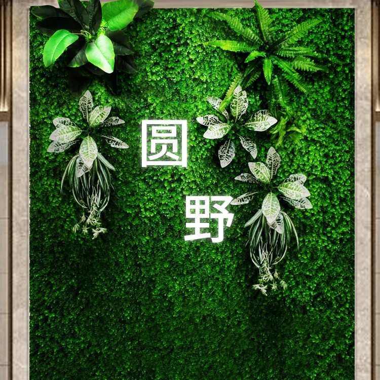 仿真草坪花墙仿生绿绿化墙面景观颂背景墙人造因植物立体植造景假