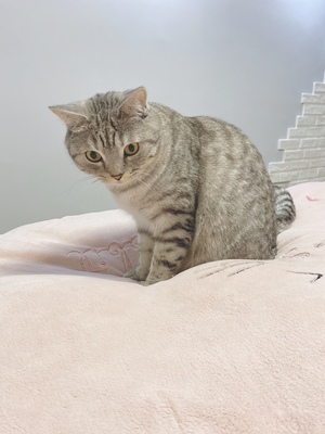 sidanda羽绒被质量真的差吗？上手体验说实情感受