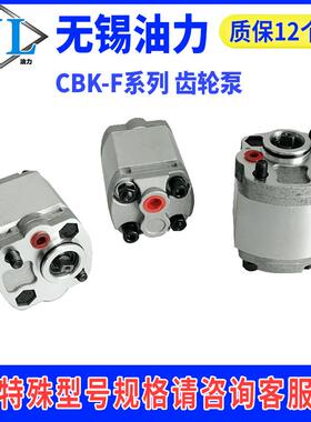 齿轮泵CBK-F0.8122.02.52.73.0动力单元液压油泵高效工业配套
