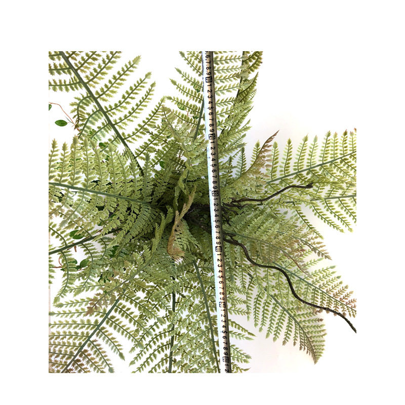 仿工真植物pyg大蕨迷你盆栽姬蕨叶绿植叶类波斯草插花程装饰厂家