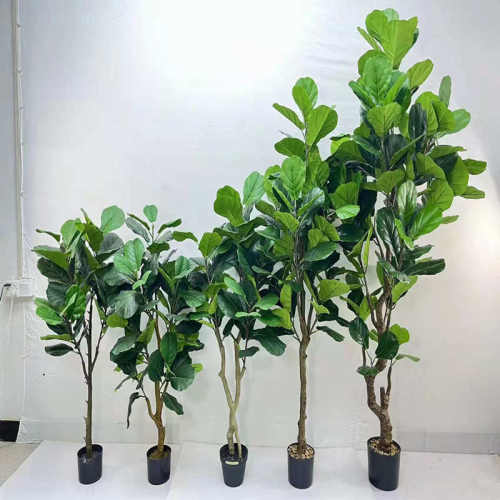 琴叶榕盆栽 室内摆件绿植琴叶榕 家居客厅装饰假树植物