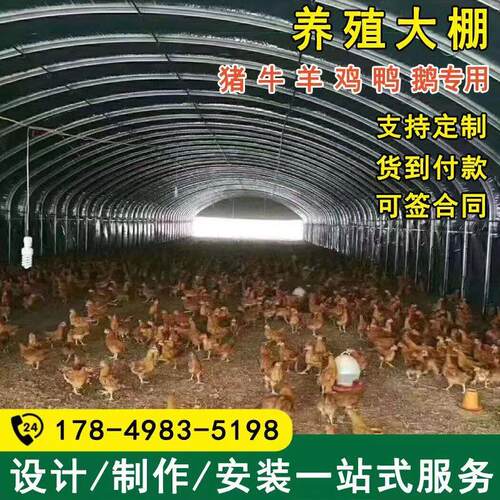养殖大棚全套大棚钢管骨架温室棚保温大棚养鸡鸭鹅兔猪舍牛棚羊圈