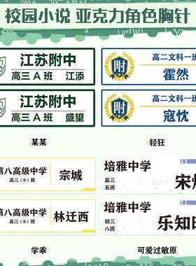 校园小说角色胸牌 某某 轻狂 学校学生姓名牌徽章胸针 周边44